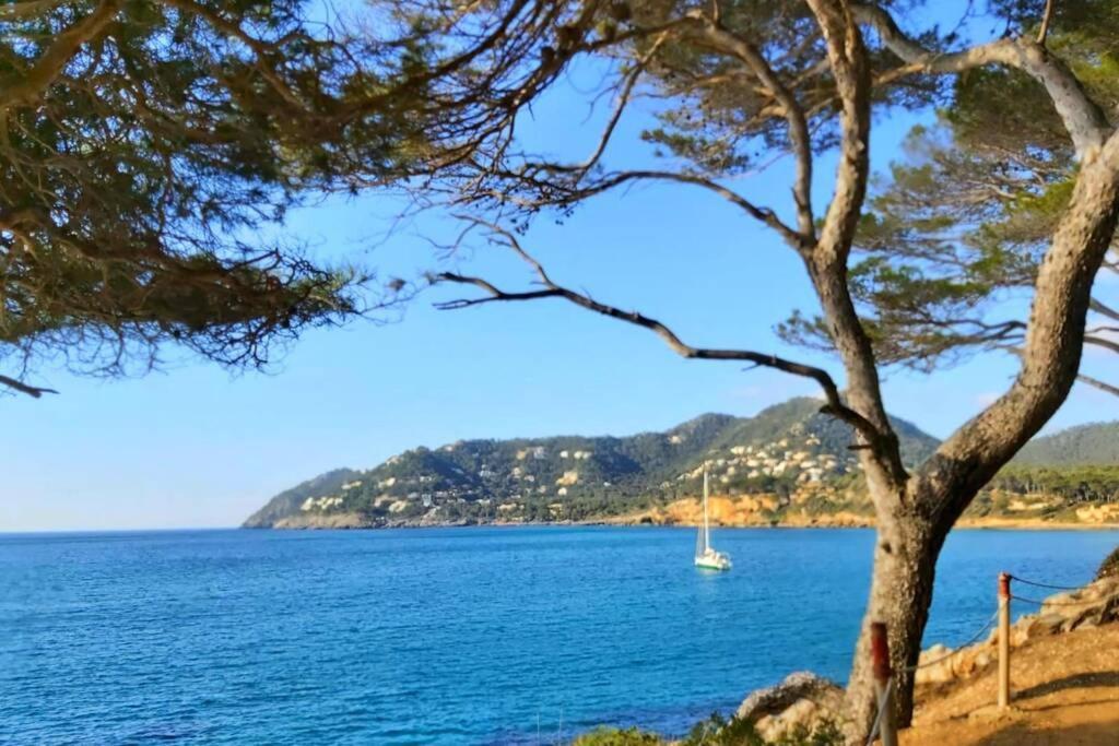 Cala Torta Pool & Terrace Canamel